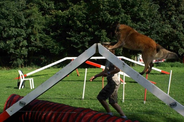 agility 2011-08